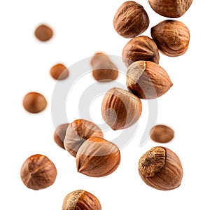 Hazelnuts Falling Brown