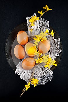 Brown hen`s eggs decorates with yellow flowers on antique plate, rustic food photography photo