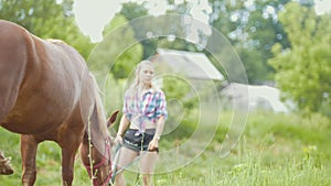 Brown horse eating grass and walking at rural field. Woman watching her