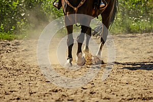 brown horse feet making dust in sand field