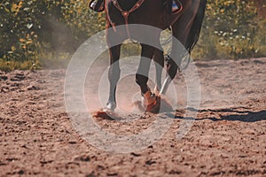 brown horse feet making dust in sand field - vintage retro look