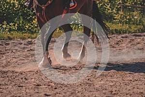 brown horse feet making dust in sand field - vintage retro look