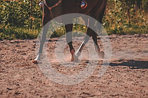 brown horse feet making dust in sand field - vintage retro look