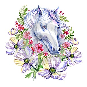 Brown Horse in floral plant spring frame, circle, wreath with anemones isolated on white background. Portrait, head