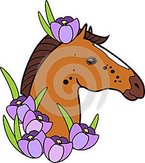 Brown horse head with purple crocus flowers on white background