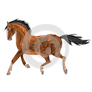 Brown horse low-polygon vector illustration hand draw