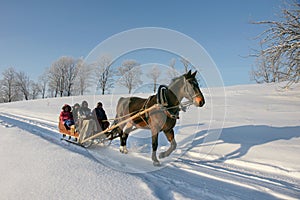 Brown horse pulling sleigh with peoples, winter wounderland landscape