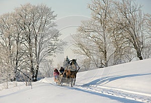 Brown horse pulling sleigh with peoples, winter wounderland landscape photo