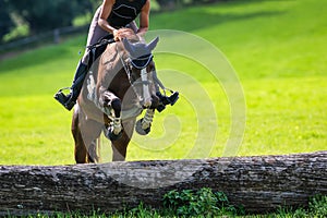 Brown horse with rider jumping over a terrain obstacle tree trunk.