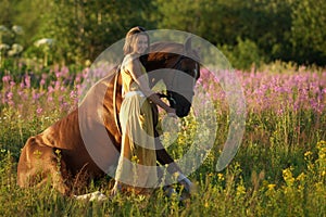 Brown horse sitting on crupper on grass, beautiful woman in yellow dress near horse in among purple flowers