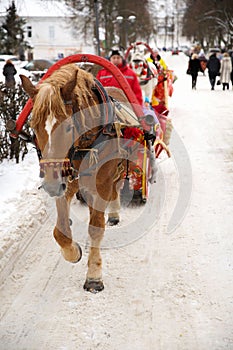 A brown horse with a sledge, Suzdal, Russia