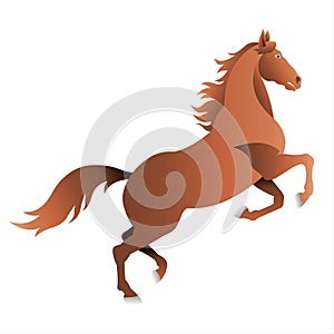 Brown horse on a white background for your design.
