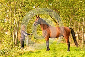 A brown horse and a young woman,on a forest trail in the autumn evening sun