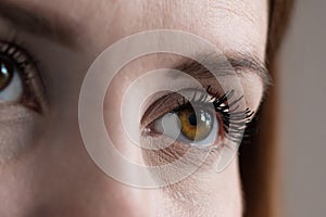 Brown human eye extreme closeup in low light technique.