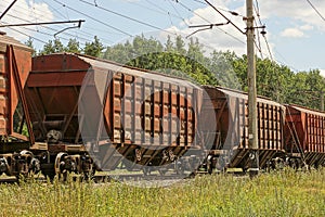 The brown iron carriages in the train ride on the railroad in the green grass