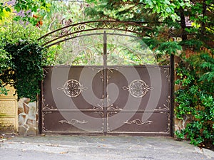 A brown iron gate with a wrought golden pattern and a patterned arch above it and thickets of vegetation next to and