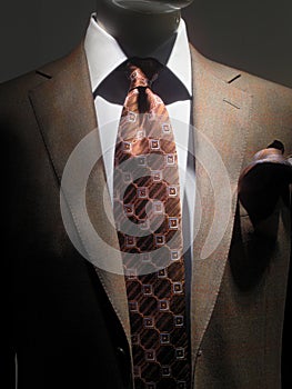 Brown jacket and tie