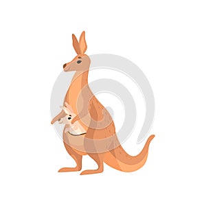 Hnedý klokan účtovný dieťa v jeho vak roztomilý klokan austrálsky zviera matka znak vektor ilustrácie 