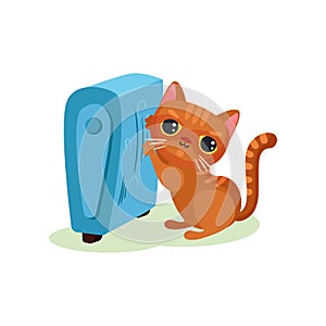 Brown kitten warming his paws on heating radiator, mischievous cute little cat vector Illustration on a white background
