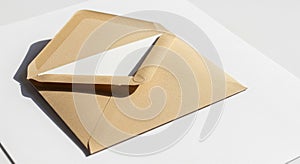 A brown kraft paper envelope is placed on a plain white surface. The envelope is open,