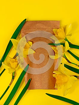 Brown kraft paper pouch bag mockup coffee beans and yellow daffodil flowers on pastel background top view