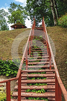 Brown ladders lead the mountain