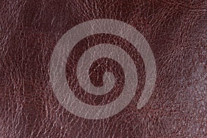 Brown leather background