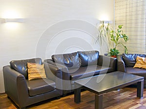 Brown leather sofas photo