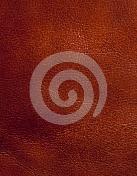 Brown Leather Texture