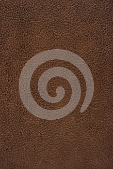 Brown leather texture photo