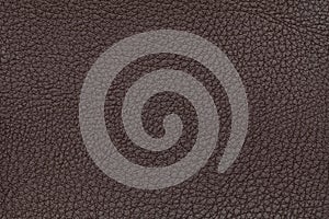 Brown leather texture background. Closeup photo. Reptile skin.