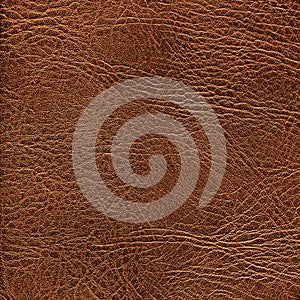 Brown leather texture