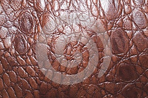 Brown leather texture macro background. rough material