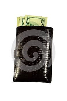 Brown leather wallet with the dollars isolated on white