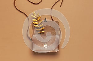 Brown leather women bag and golden autumn leaf on brown background top view flat lay copy space. Fashionable women`s accessories.