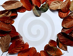 Brown leaves frame with copy space