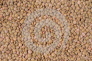 Brown-lentils