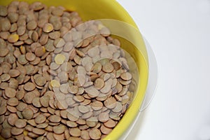 Brown Lentils (Lens culinaris) Close-up in a bowl on a white background,