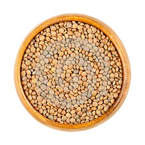 Brown lentils, mountain lentils, Lens culinaris, in a wooden bowl