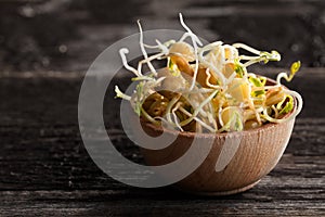 Brown Lentils Sprouts in a Wooden bowl