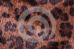 Brown leopard fur pattern as a background.