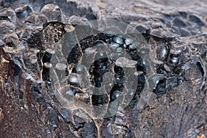 Brown limonite black gemstone gem jewel mineral precious stone