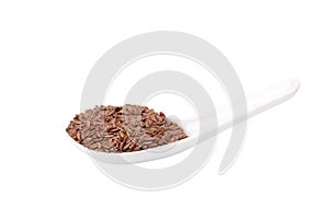 Brown Linseed or Flax seed