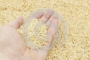 Brown long-grain rice