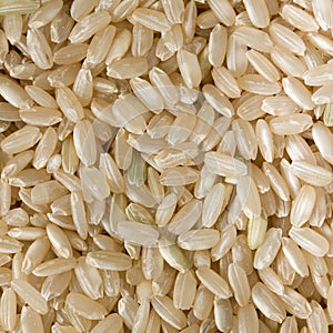 Brown long grain rice