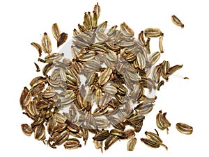 Brown Lovage seeds on white