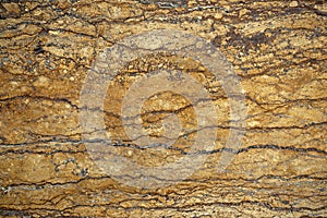 Brown Marble background.