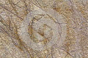 Brown marble surface close-up