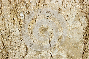 Dark brown marble or sand wash surface, detail stone, abstract background