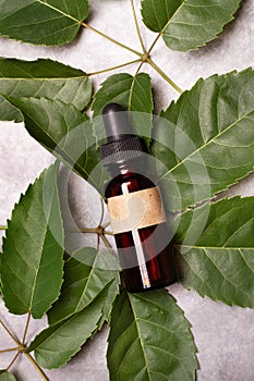 Brown medical bottle on green leaves on a gray background